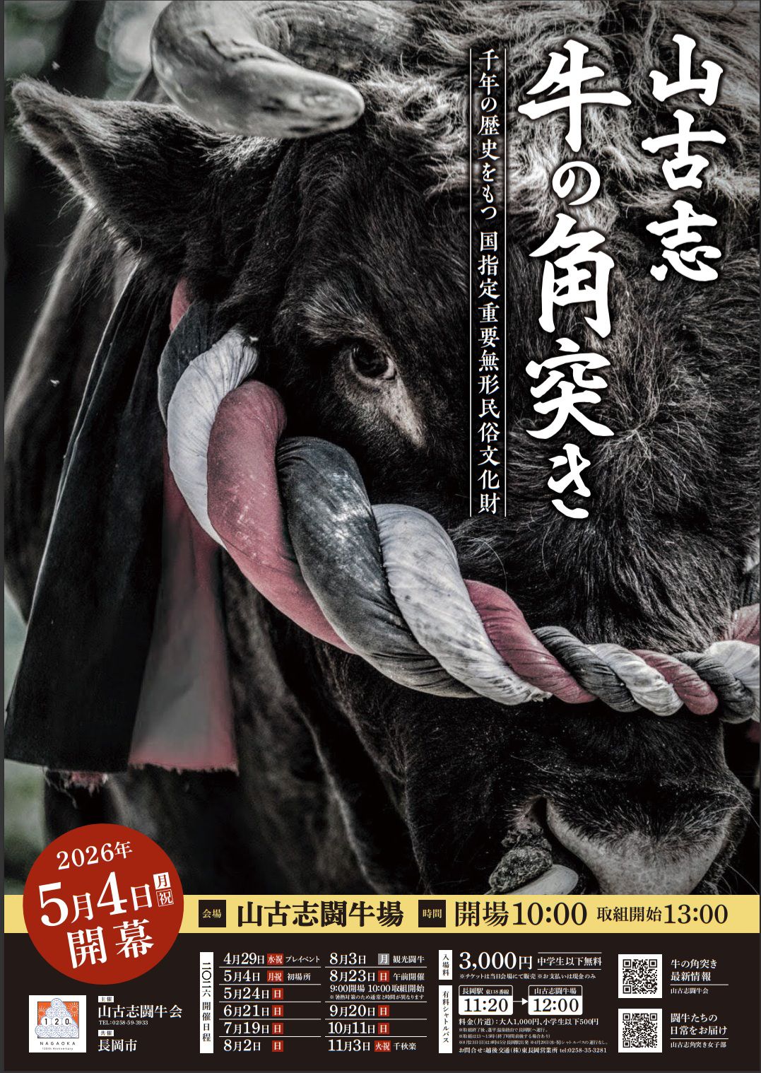 いよいよ開幕！牛の角突き | 山古志オフィシャルウェブサイト
